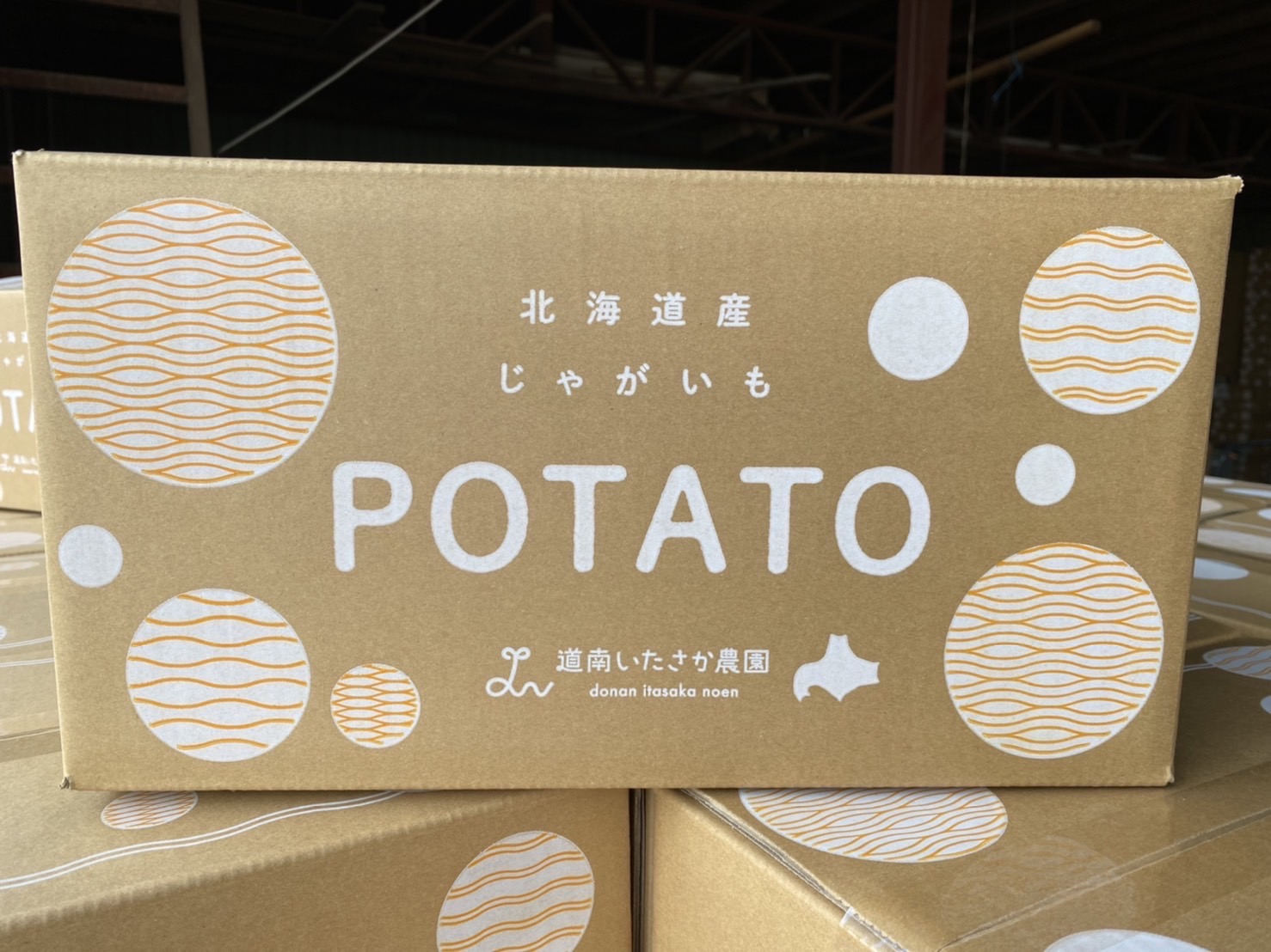 potato-sp10