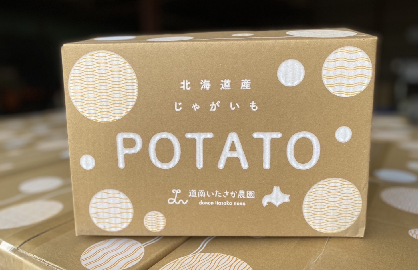 potato-sp5